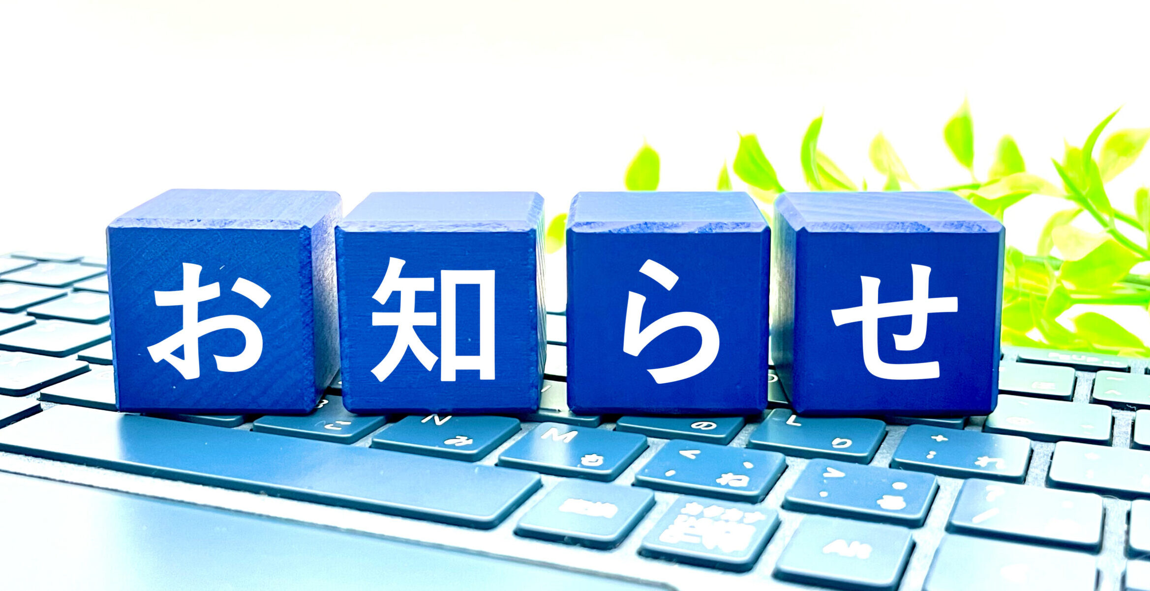 お知らせ